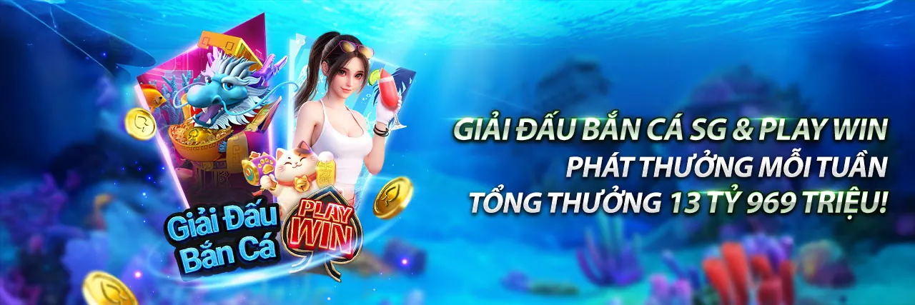 Tổng quan nền tảng RR8811 Code